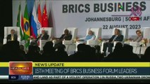 BRICS business forum discusses the creation of a common currency