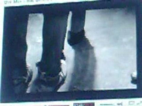 BB brunes dis-moi