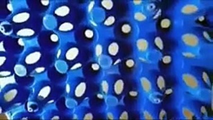 SaveTube.io-గుడ్డు ట్రేతో సూపర్ ఐడియా_super idea with egg tray_plates stand_diy_kitchen tips_diy stand_-(144p)