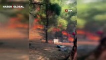 Çanakkale'de orman yangını çıktı! Bölge tahliye ediliyor