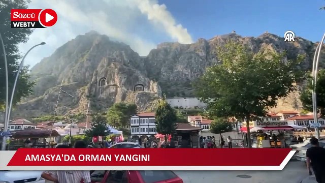 Harşena Kalesi yakınındaki ormanlık alanda yangın çıktı