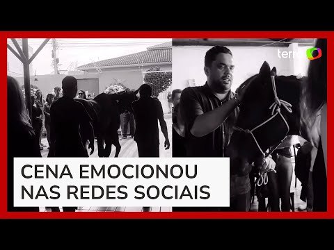 Criança morre após cair de égua e animal é levado pela família ao funeral para se despedir