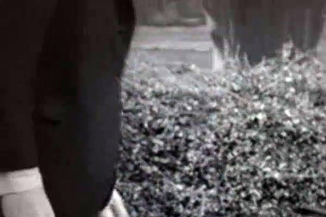 The Addams Family Season 2 Episode 28 The Addams Policy