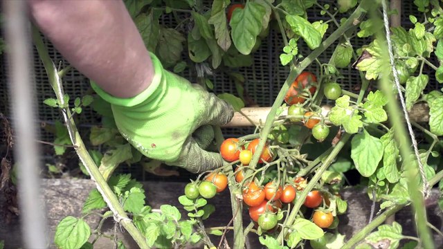 Canterbury charity gives adults with learning disabilities a place to shine