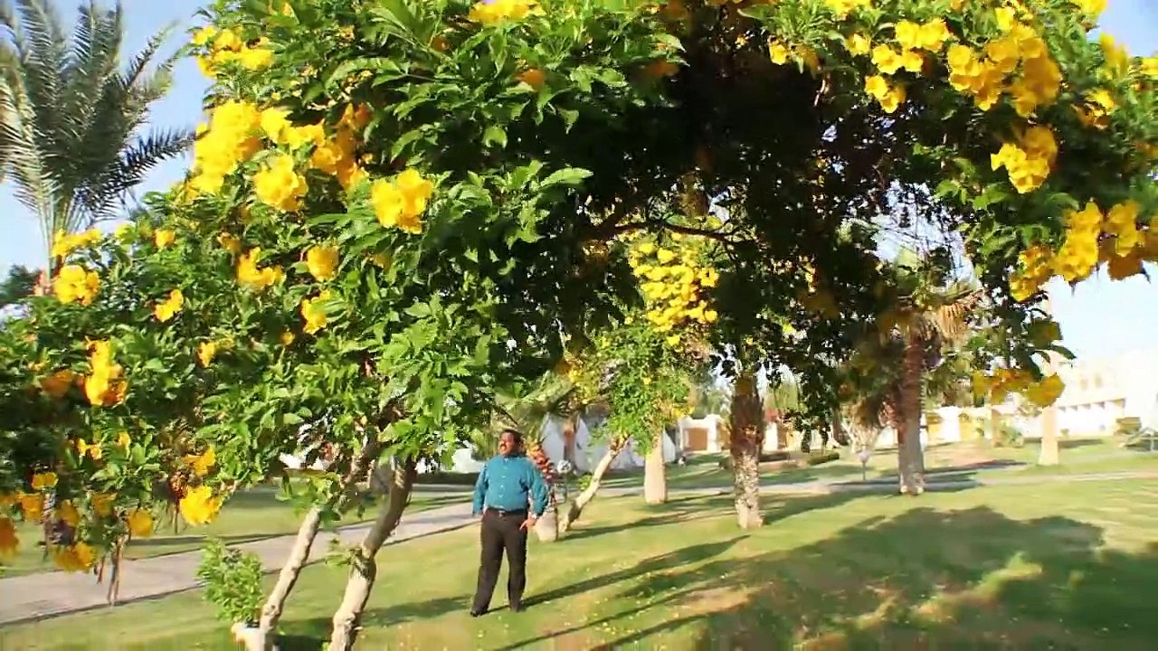 பாடல் - வானம் பூமி