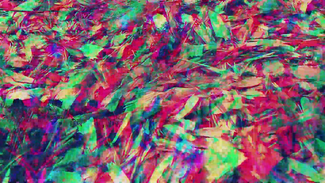 La deforestación y sus efectos en el clima y la biodiversidad