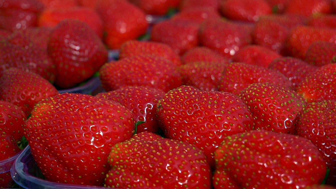 Gestión responsable de recursos hídricos: afrontando la escasez de agua en el siglo XXI