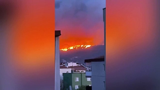 Çanakkale'deki orman yangınında alevler geceyi gündüze çevirdi