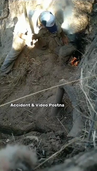 VID-20230822-WA0020