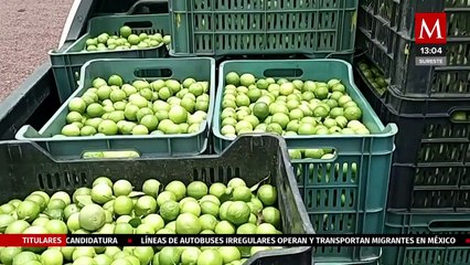 Ramírez Bedolla pide a productores de limón presentar denuncias penales