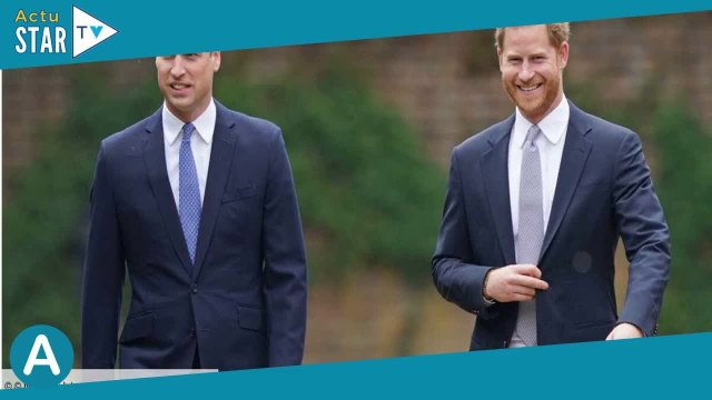 « Il y a eu des privilèges » le prince William a t il été favorisé par rapport au prince Harry