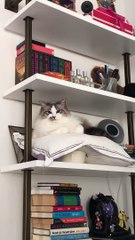 George entre dans la zone interdite