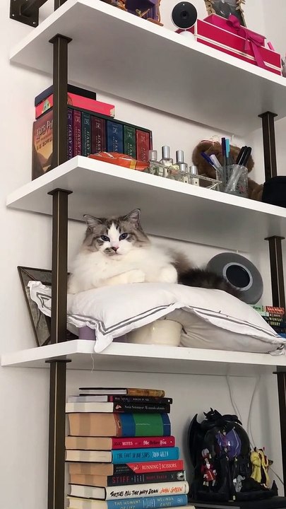 George entre dans la zone interdite
