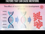 Factors that can cause mutations
