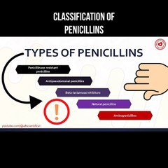 Comprehensive Guide to Penicillin Classification 🧪