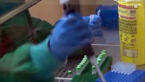 Luego de tres meses y medio sin casos, se confirman dos nuevos contagios de Mpox