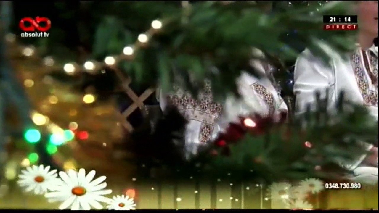 Elisabeta Turcu - Dragi surioarele mele