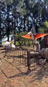 Cruzeiro do Oeste realiza 2ª edição do Vale dos Dinossauros, com visitação gratuita