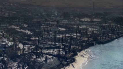 Investors Looking to Profit on Grief-Stricken Survivors of Maui Wildfires
