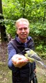 Hand Feeding Wild Birds in the Forest