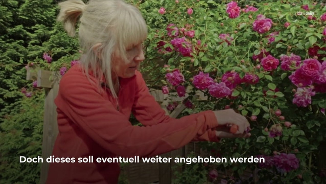 Rente: Jedem Fünften wird dieses Schicksal zuteil