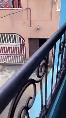 Smart brother  came with army men to my house and tell me to confess that I use his brother to plus