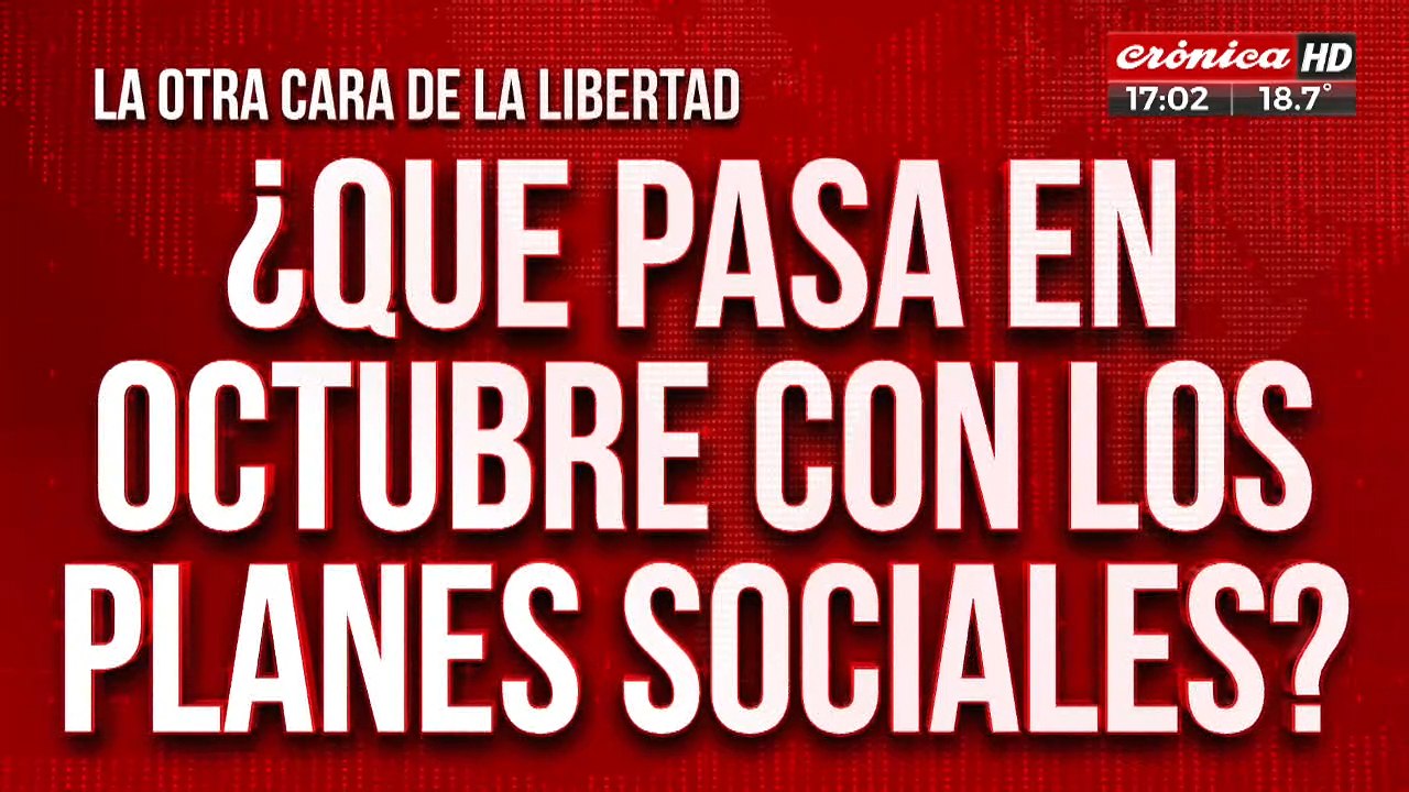 Elecciones 2023: ¿Qué pasa en octubre con los planes sociales?