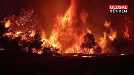 Çanakkale’deki orman yangınını söndürme çalışmaları aralıksız devam ediyor