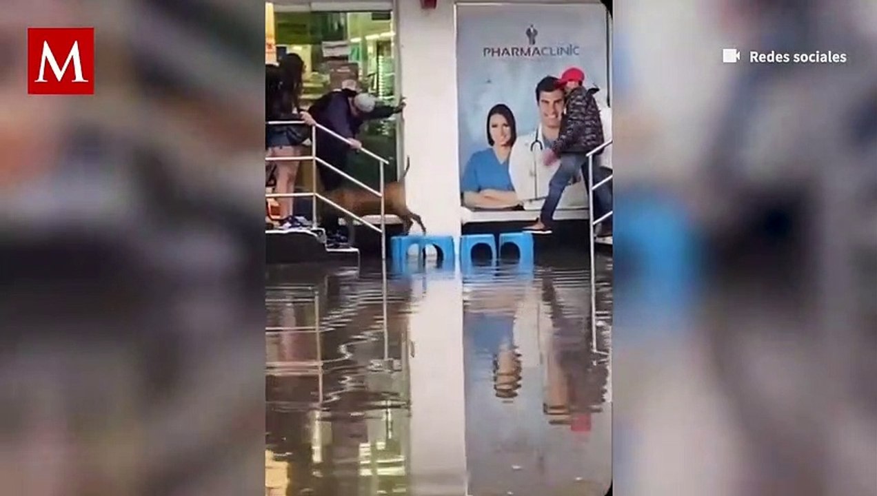 En Iztapalapa, comerciantes crean un "puente" con algunos bancos para ayudarle a cruzar a lomito