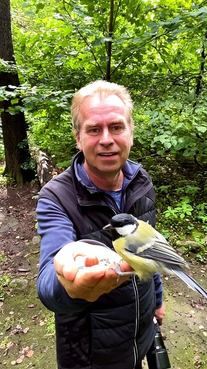 Hand Feeding Wild Birds in the Forest