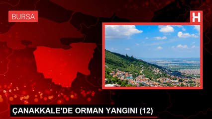 ÇANAKKALE'DE ORMAN YANGINI ; BAKAN YUMAKLI AÇIKLAMALARDA BULUNDU