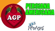 PERSIANA AMERICANA - Agapornis (karaoke)