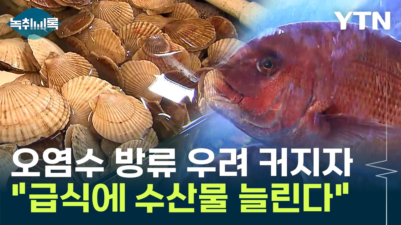 오염수 방류 우려 커지자...與 "급식에 수산물 늘린다" [Y녹취록] / YTN