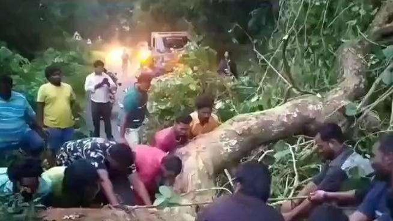 అల్లూరి జిల్లా: పాడేరు ఘాట్ లో నేలకొరిగిన భారీ వృక్షం.. చిక్కుకున్న కలెక్టర్ వాహనం