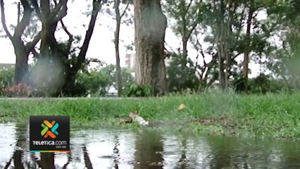 tn7-país-cumple-11-días-en-alerta-amarilla-por-mal-tiempo-220823