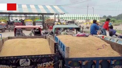 आगर: छाए रहे बादल, अब तक 25 इंच से अधिक हुई बारिश, फसलों के लिए नहीं पर्याप्त