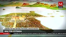 Así es como se busca preservar las áreas del Lago de Texcoco | Milenio Hábitat