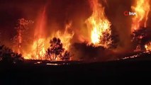 Çanakkale’deki orman yangınını söndürme çalışmaları aralıksız devam ediyor