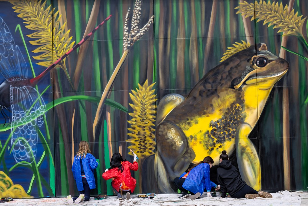 A new mural is being painted on an unusual canvas in Belconnen