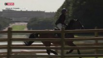JO-2024 : Versailles se prépare à accueillir les épreuves d'équitation