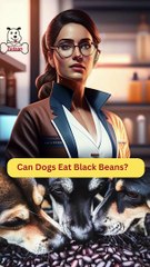 Can Dogs Eat Black Beans | Dog Food Review | Zudaan