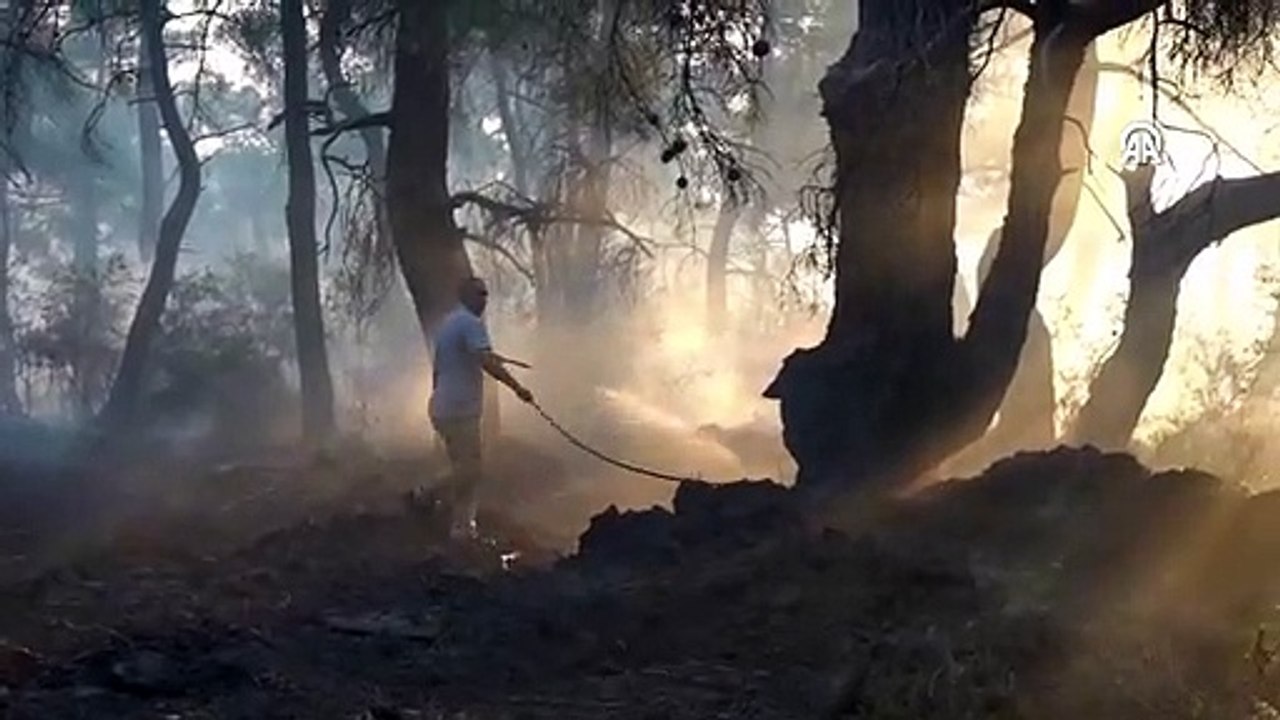 Çanakkale'de çıkan orman yangınına müdahale sürüyor