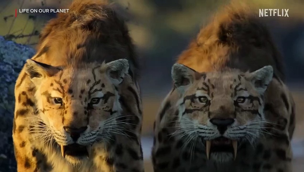 Leben auf unserem Planeten Trailer (2) OV