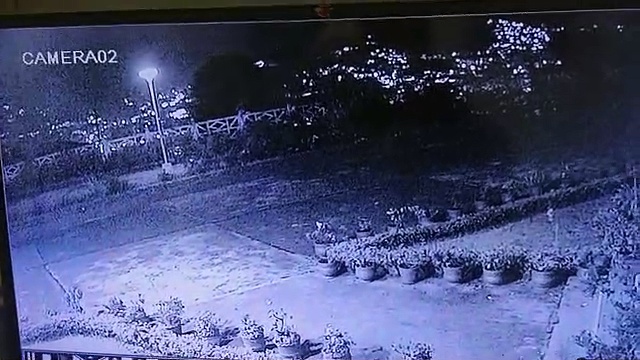 சொகுசு பங்களாவில் புகுந்து வளர்ப்பு நாயை கவ்விச் சென்ற சிறுத்தை; சிசிடிவியில் பதிவான காட்சிகளால் பரபரப்பு