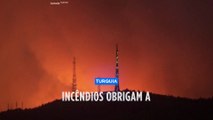 Incêndios na Grécia alastram à Turquia, várias aldeias foram evacuadas