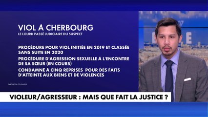 William Thay : «Le profil que vous décrivez est celui d’un barbare en puissance voire même qualifié et caractérisé»