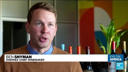 ‘Fruit, wine and beef’: South Africa trade deals at BRICS summiut