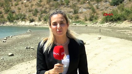 Boğazköy Barajı'nda Toplu Balık Ölümleri