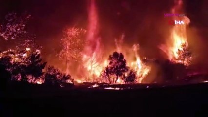 Çanakkale'de orman yangını! Şehir merkezi adeta duman altında kaldı