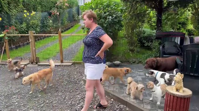 Gazeta Lubuska. Zielona Góra. Hotel dla psów